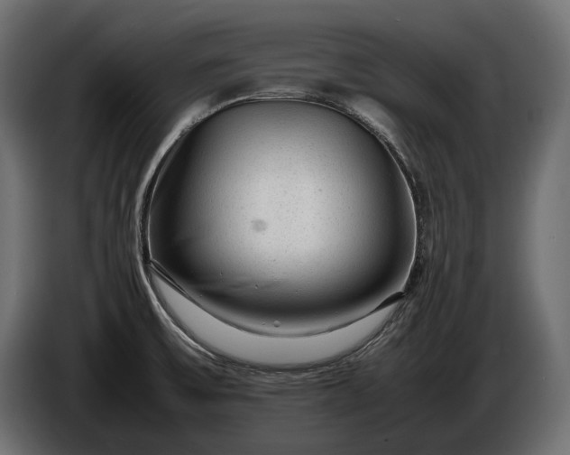 X0000086291475200704131536