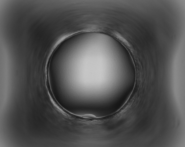 X0000086291479200704131536