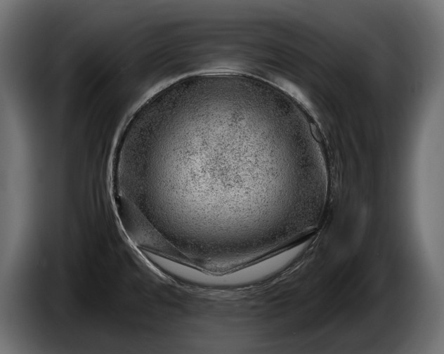 X0000086291480200704131536