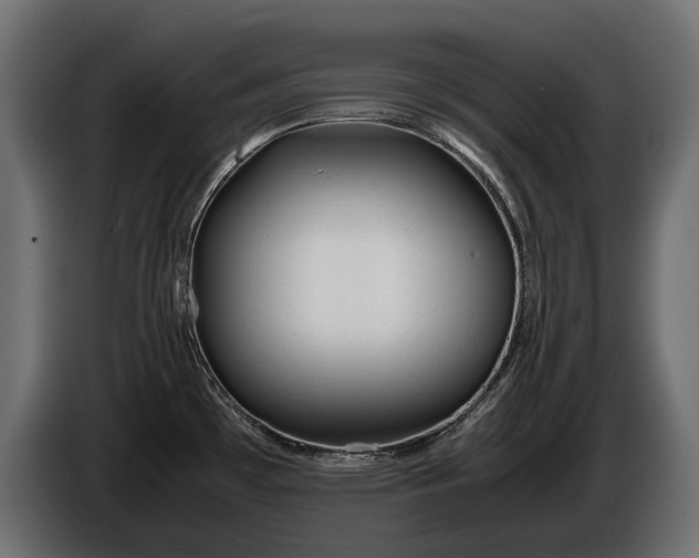 X0000086291481200704131536