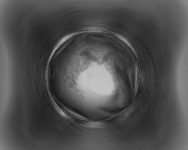 X0000086291482200704131536