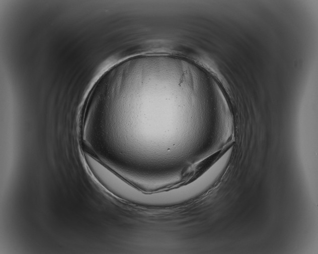 X0000086291483200704131536
