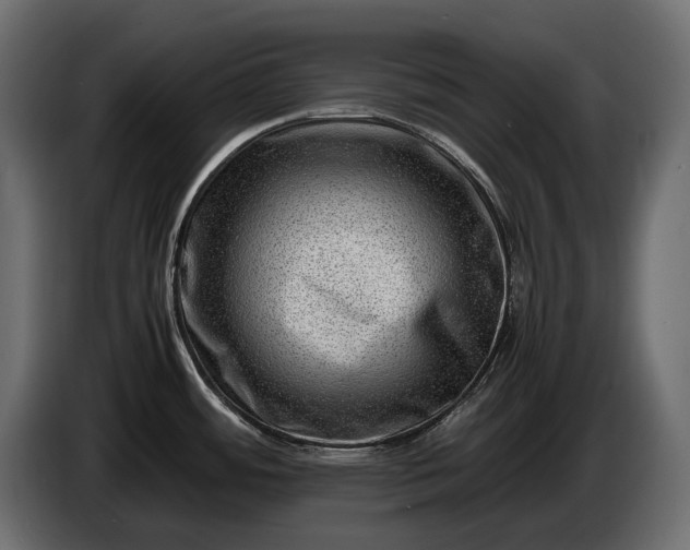 X0000086291484200704131536