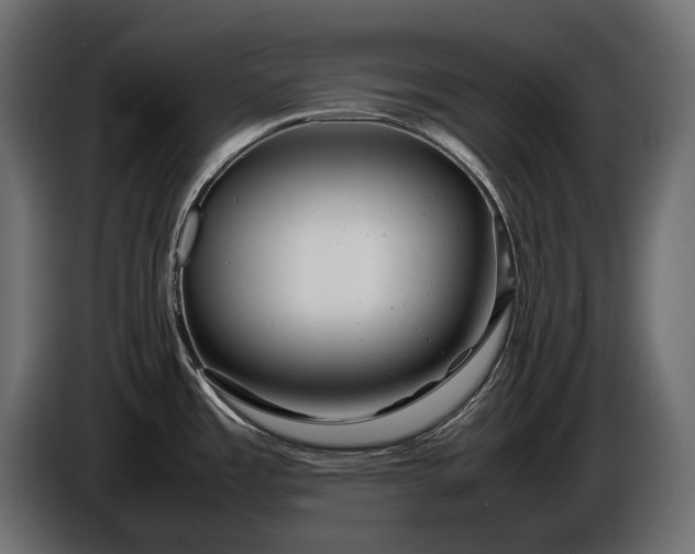 X0000086291485200704131536
