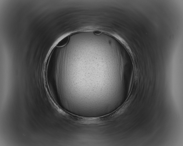 X0000086291486200704131536