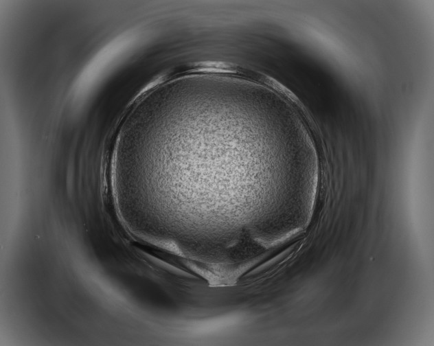 X0000086291487200704131536