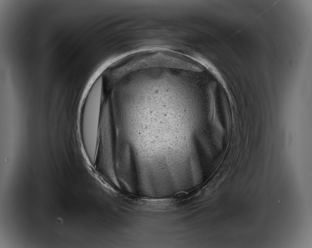 X0000086291488200704131536