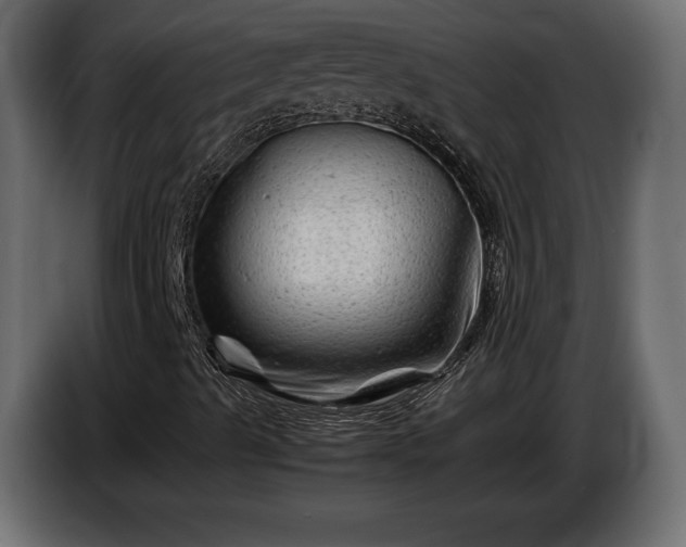 X0000086291489200704131535