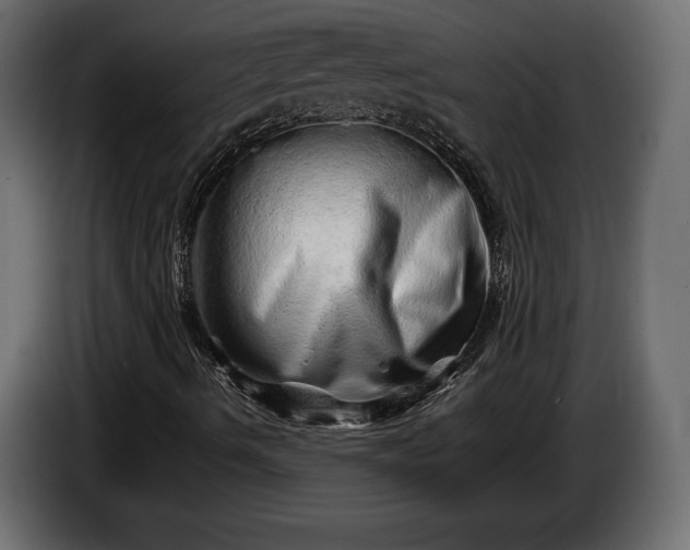 X0000086291490200704131535
