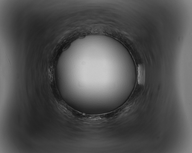 X0000086291491200704131535