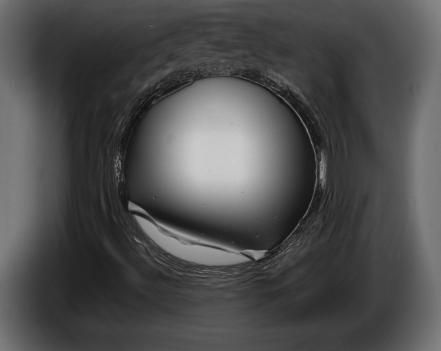 X0000086291492200704131535