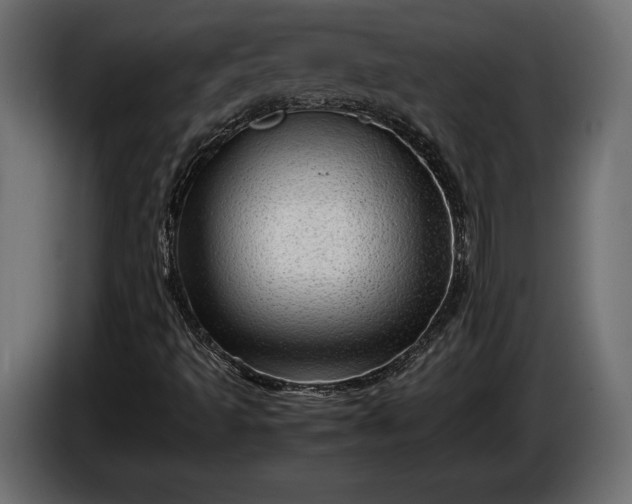 X0000086291493200704131535