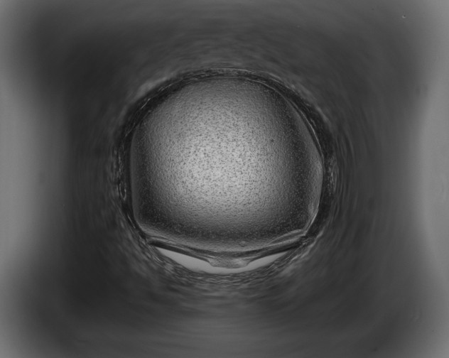 X0000086291494200704131535