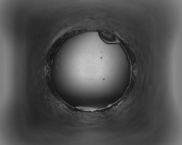 X0000086291495200704131535