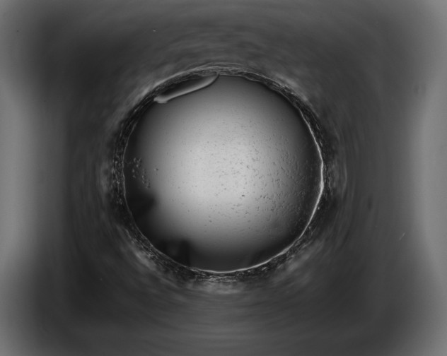 X0000086291496200704131535