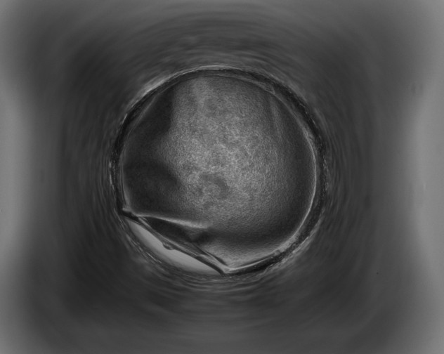 X0000086291497200704131535
