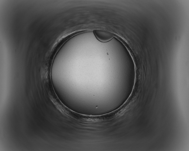 X0000086291499200704131535