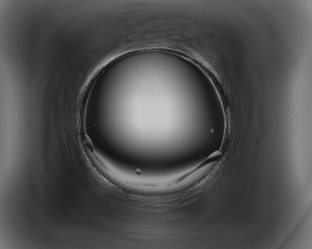 X0000086291500200704131535