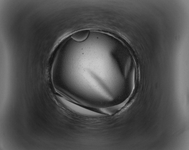 X0000086291501200704131535