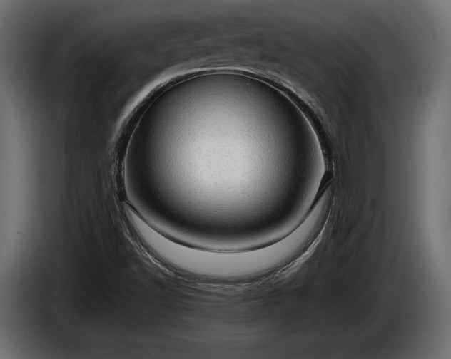 X0000086291502200704131535