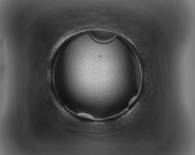X0000086291503200704131535