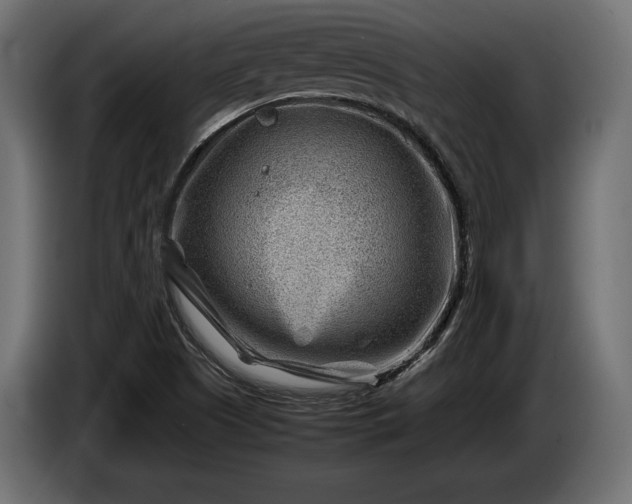 X0000086291505200704131535