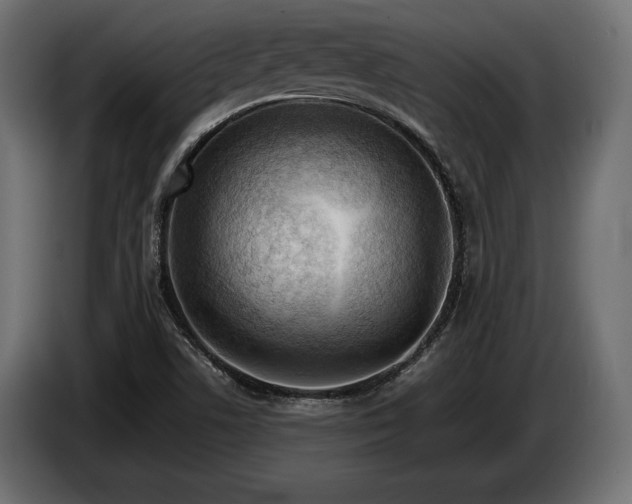 X0000086291506200704131535