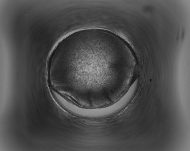 X0000086291508200704131536