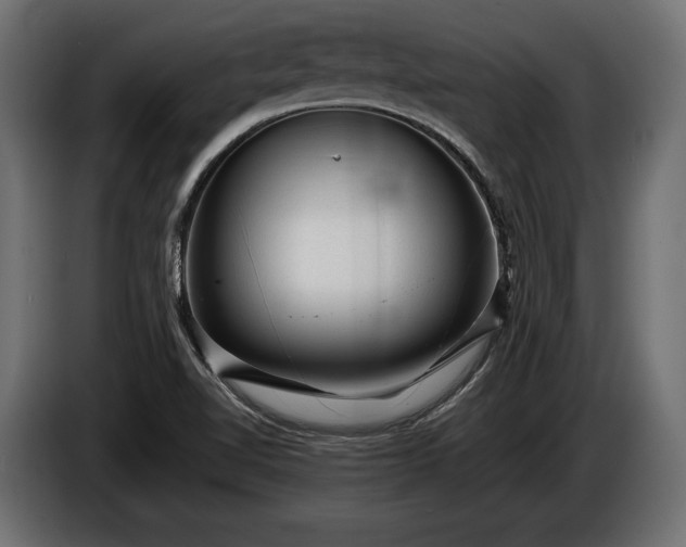 X0000086291510200704131536