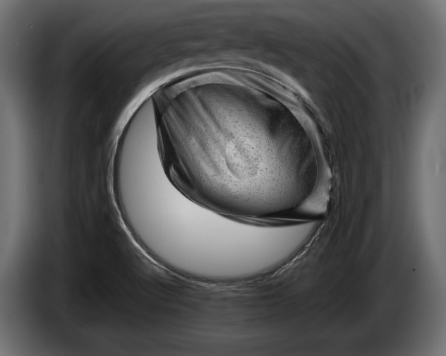 X0000086291512200704131536
