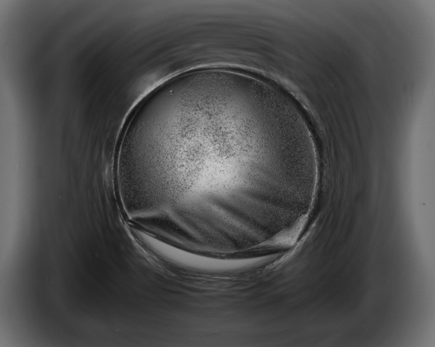 X0000086291513200704131536