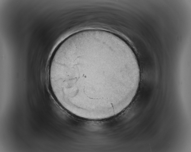 X0000086291514200704131536