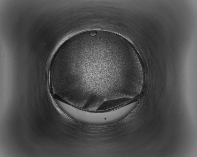 X0000086291515200704131536