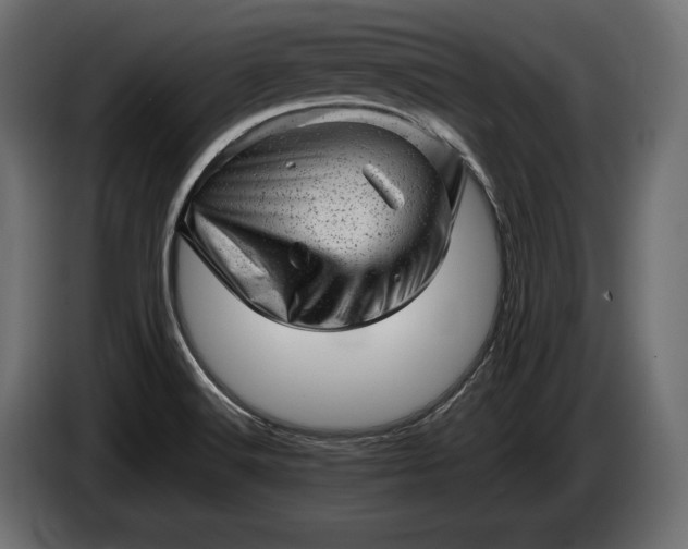 X0000086291516200704131536