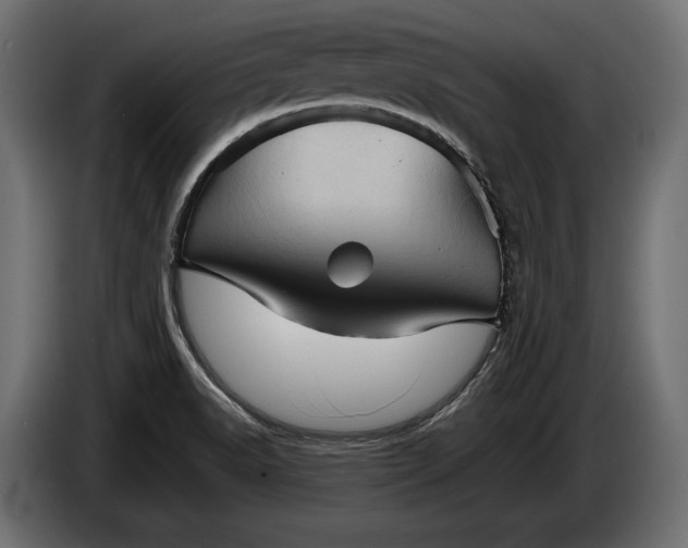 X0000086291518200704131536