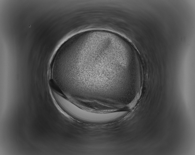 X0000086291519200704131536