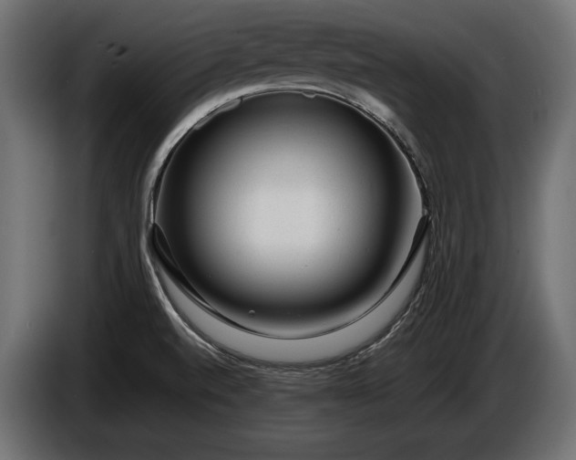 X0000086291520200704131536