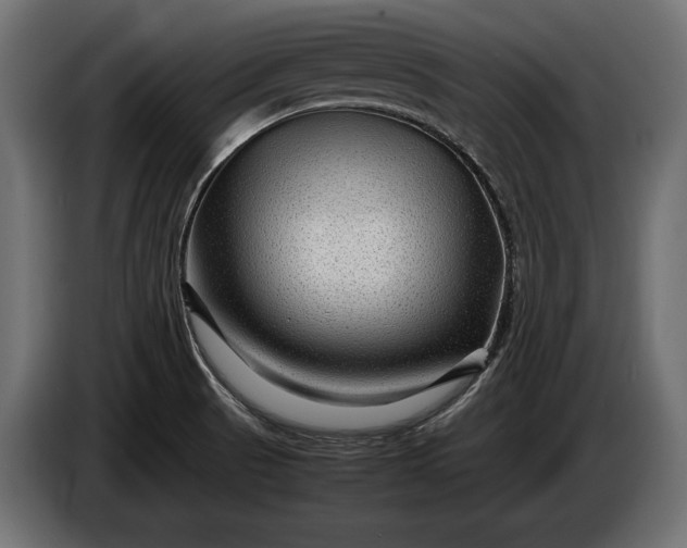X0000086291521200704131536