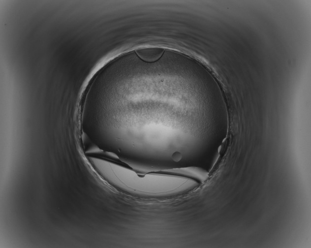 X0000086291522200704131536