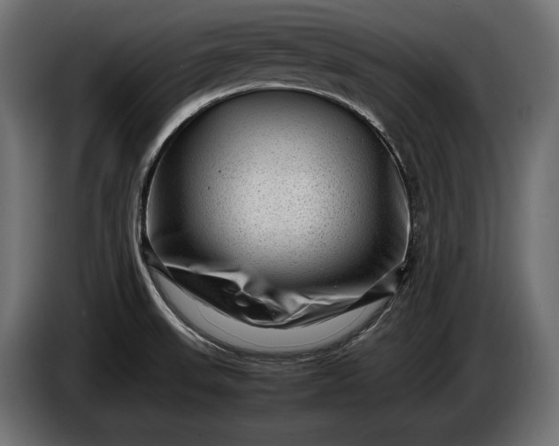 X0000086291523200704131536