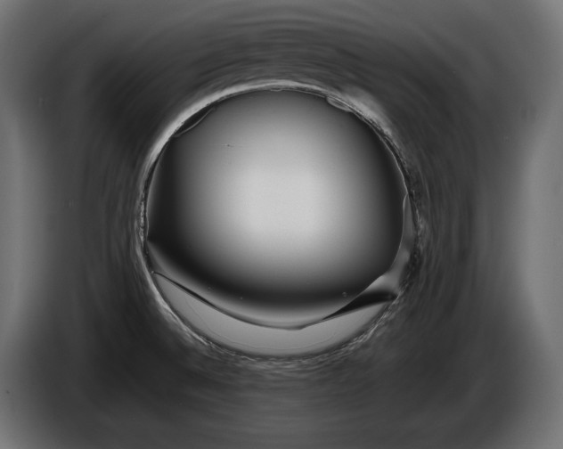 X0000086291524200704131536
