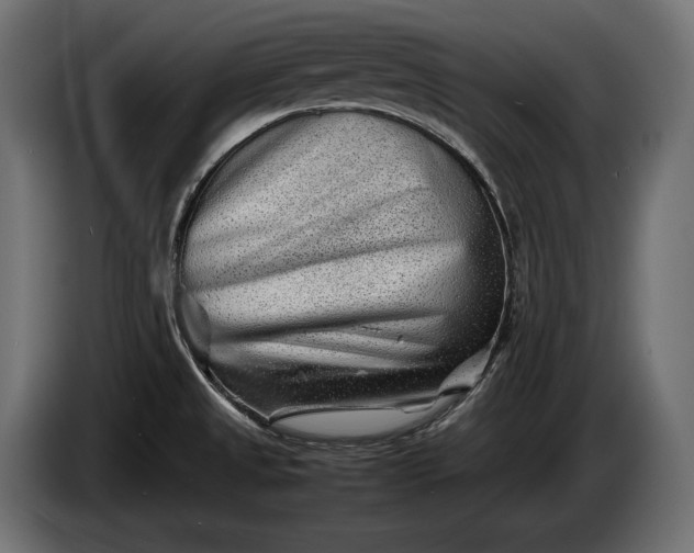 X0000086291525200704131536