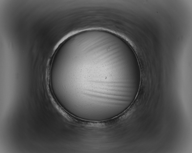 X0000086291526200704131536