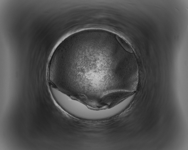 X0000086291527200704131536
