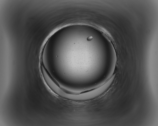 X0000086291528200704131536