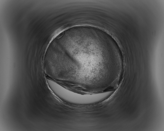 X0000086291529200704131536