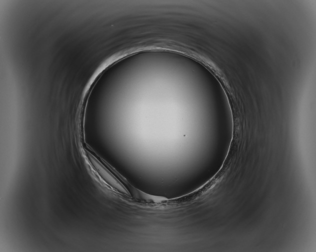 X0000086291530200704131536
