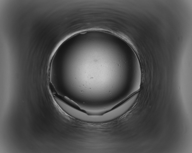 X0000086291532200704131536