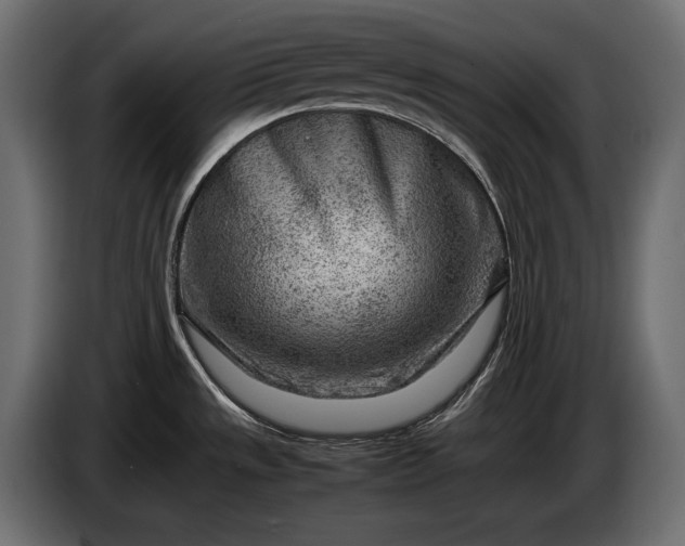 X0000086291533200704131536
