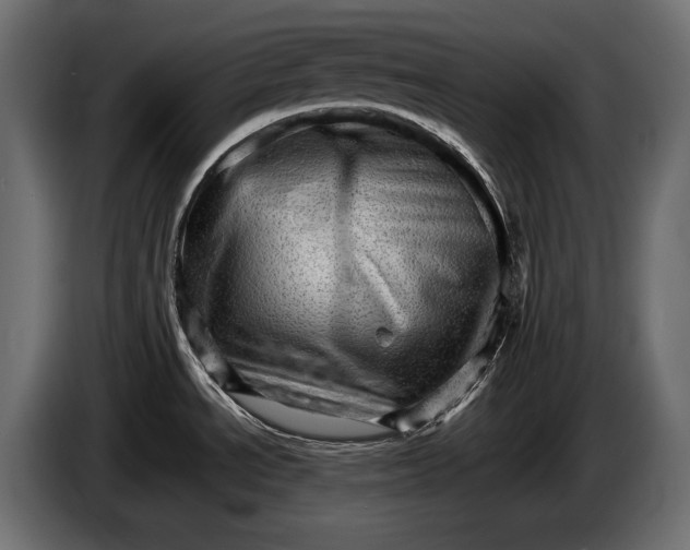 X0000086291534200704131536